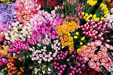 《漫威蜘蛛侠2》PS5奖杯信息曝光 没有多周目难度奖杯