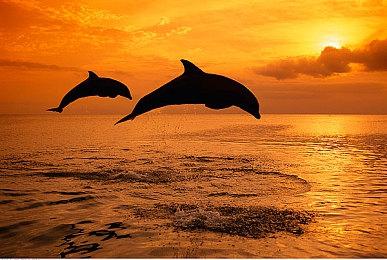 网传《漫威蜘蛛侠2》故事剧透 艾迪或为可玩角色